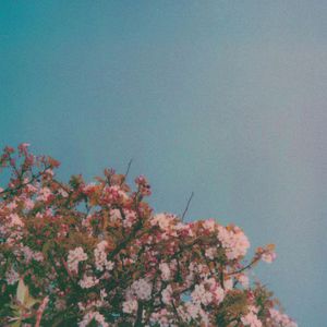 日韩小姝xXXXX交性
